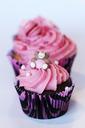 cupcake-muffin-muffins-862646.jpg