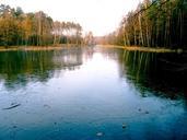 pond-view-water-frozen-571852.jpg