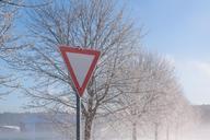 traffic-sign-winter-hoarfrost-fog-622982.jpg