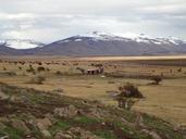 landscape-patagonia-el-calafate-905220.jpg