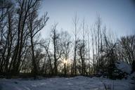 winter-landscape-snow-nature-frost-682768.jpg