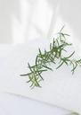 Branches-of-rosemary-and-towels.jpg