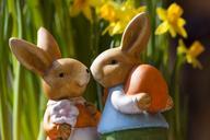 easter-bunny-easter-rabbit-95096.jpg