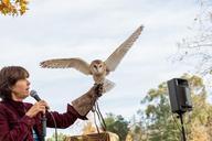 Barn_Owl.jpg