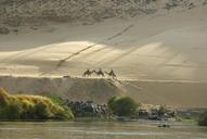 desert-camels-caravan-nile-sand-1068155.jpg