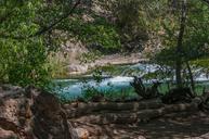 Waterfall_Trail_on_Fossil_Creek.jpg