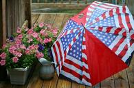 umbrella-flowers-rain-52625.jpg