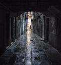 venice-pigeon-man-light-shadow-559724.jpg