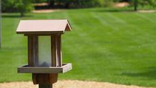 bird-house-bird-house-birdhouse-1447496.jpg