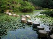 japanese-garden-kyoto-japan-1159550.jpg