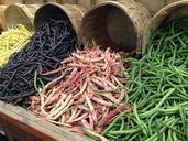 beans-leguminous-plants-legumes-260210.jpg