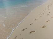 footprints-beach-water-footstep-1145883.jpg