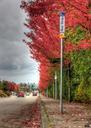 bus-stop-road-waiting-street-63910.jpg