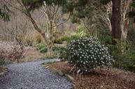 Tree-and-Flower-National-Arboretum.jpg