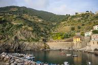 cinque-terre-italy-nature-terraces-1050737.jpg