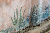 Painted plants fresco Pompeii Italy.jpg