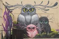 background-wall-art-graffiti-urban-1450797.jpg