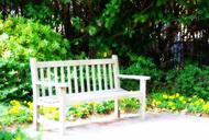 bench-garden-flowers-green-yellow-646941.jpg