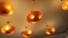 lighting-house-shell-656860.jpg