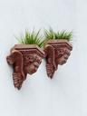 flowerpot-planters-hauswand-plant-357854.jpg