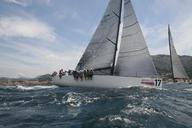 sailboat-race-sea-competition-543050.jpg