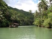 rain-forest-bohol-philippines-river-352582.jpg