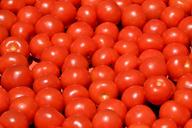 tomatoes-fresh-vegetables-healthy-1241014.jpg