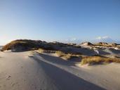 sand-dunes-amrum-sand-dune-1453077.jpg