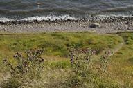 cliff-steep-coast-sloping-sweden-899692.jpg