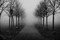 foggy-sidewalk-morning-fog-sidewalk-1123360.jpg