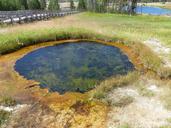 yellowstone-national-park-geyser-472152.jpg