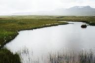 iceland-lake-water-landscape-413708.jpg