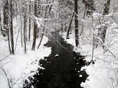 winter-landscape-white-forest-bach-185223.jpg