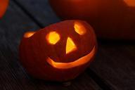 pumpkin-pumpkin-ghost-autumn-504268.jpg