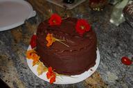 cake-chocolate-chocolate-cake-food-969868.jpg