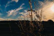 pasture-field-grass-sky-dark-371422.jpg