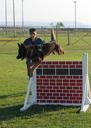 Flickr_-_Official_U.S._Navy_Imagery_-_Sailor_leads_his_military_working_dog_through_an_obstacle_course_as_part_of_a_demonstration.jpg