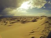 desert-ferns-suburbs-mongolia-745184.jpg