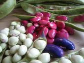 beans-garden-legumes-vegetables-338288.jpg