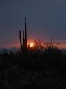 cactus-sunset-desert-silhouette-464004.jpg