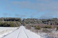 forest-winter-snow-landscape-tree-630627.jpg