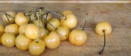 cherry-yellow-cherries-yellow-cherry-1484244.jpg