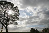 tree-sun-nature-landscape-season-651322.jpg