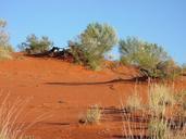 Red sand dune near carnarvon.jpg