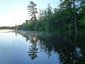 lake-shore-reflection-white-pine-417725.jpg