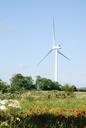 wind-turbines-farmland-364997.jpg