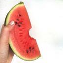 watermelon-organic-health-healthy-824618.jpg