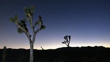 Dusk_to_night_at_Joshua_Tree.jpg