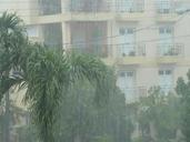 rain-storm-downpour-rainstorm-567512.jpg