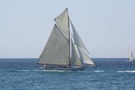 sailboat-old-rig-regatta-543064.jpg